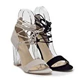 Women's Clarity-8 Lace Up Ankle Strappy Gladiator Clear Lucite Heels Sandals